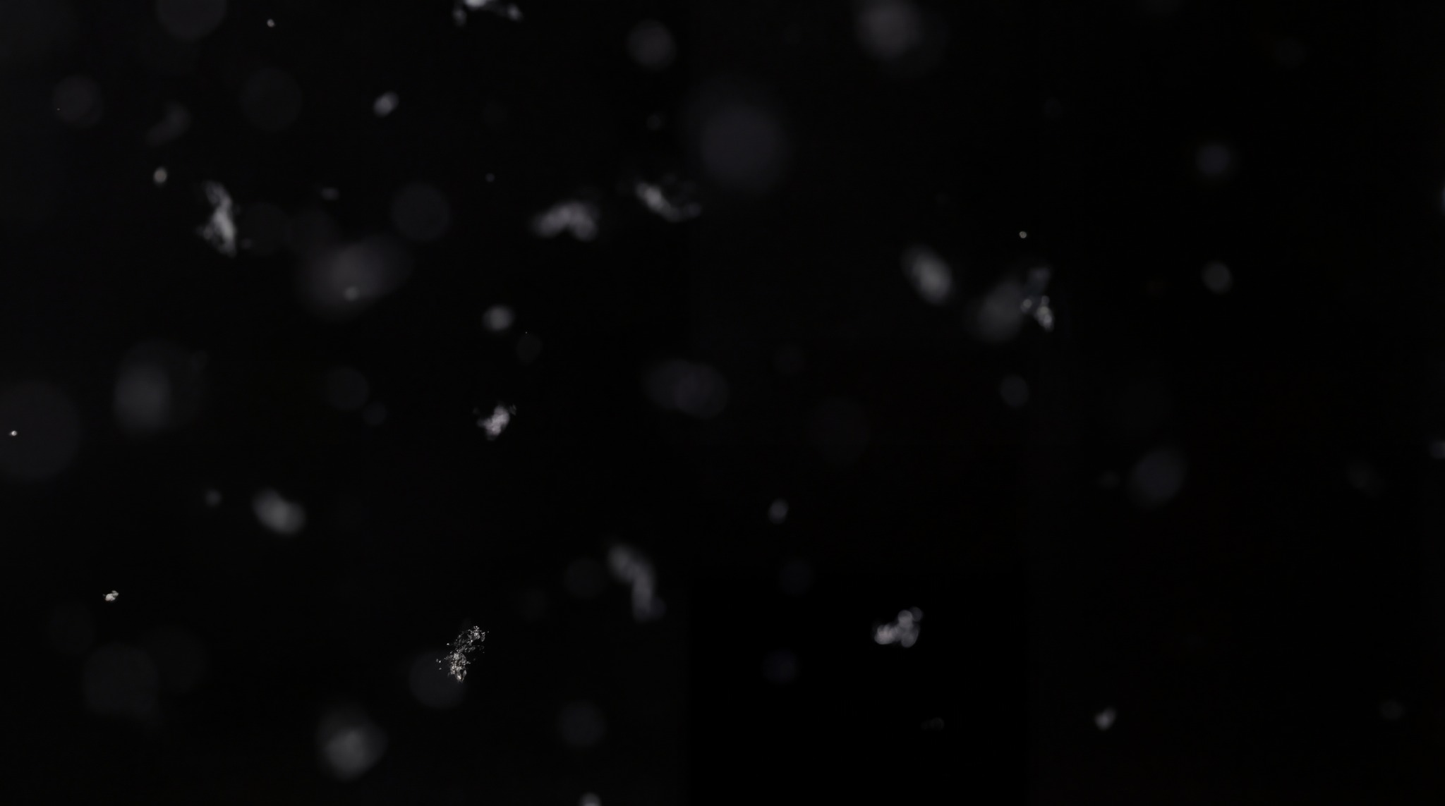 Snowflake Particle Overlay 5K | Free