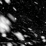 Snowfall overlay — wind-driven diagonal snowfall with fast motion streaks on black background
