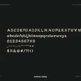 Tailflare script brush font character map with uppercase, lowercase, numerals and symbols