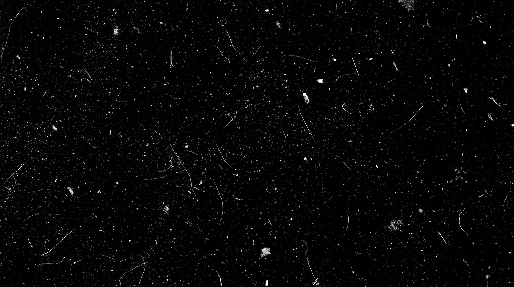 A black background with numerous white analog film dust particles and thin, curved scratches.