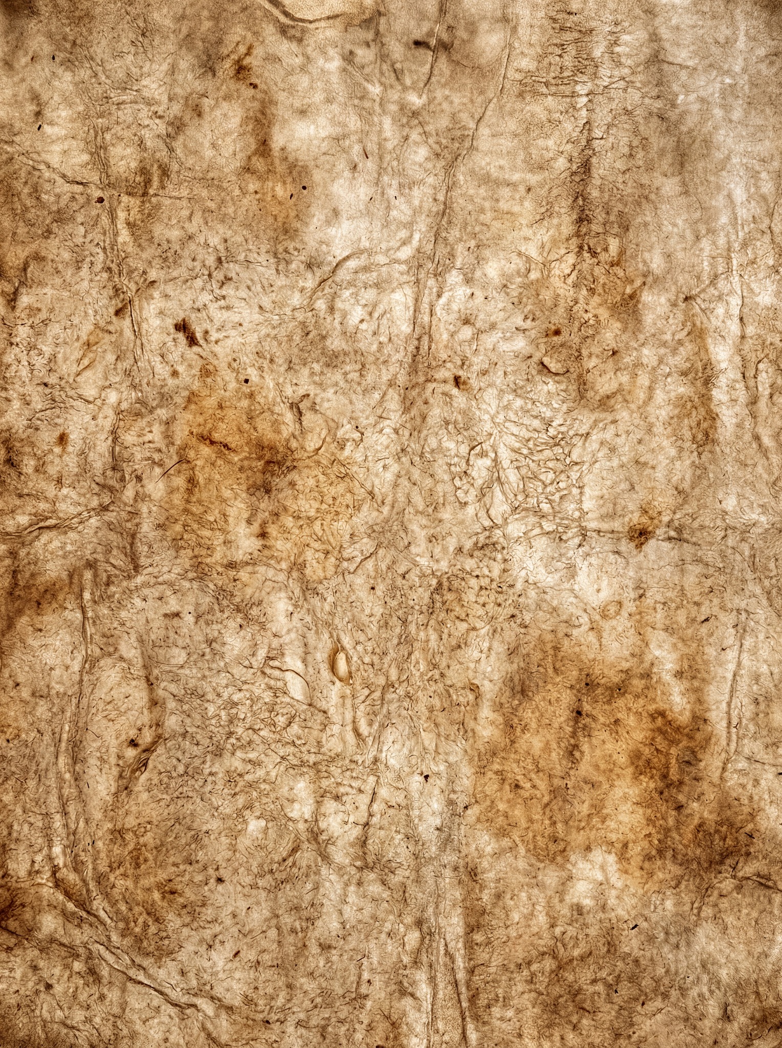 Close-up of aged parchment paper with visible creases, rough fibers, and dark brown splatters and stains.