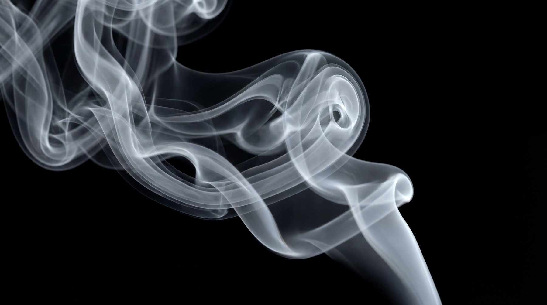 A delicate, swirling trail of white smoke against a black background, with organic, flowing curves.