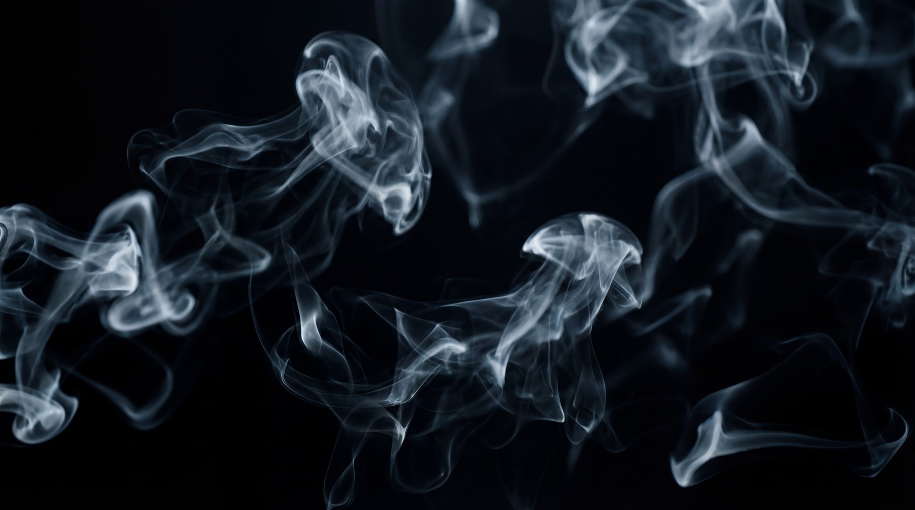Delicate white smoke swirling in wisps from left to right against a black background.
