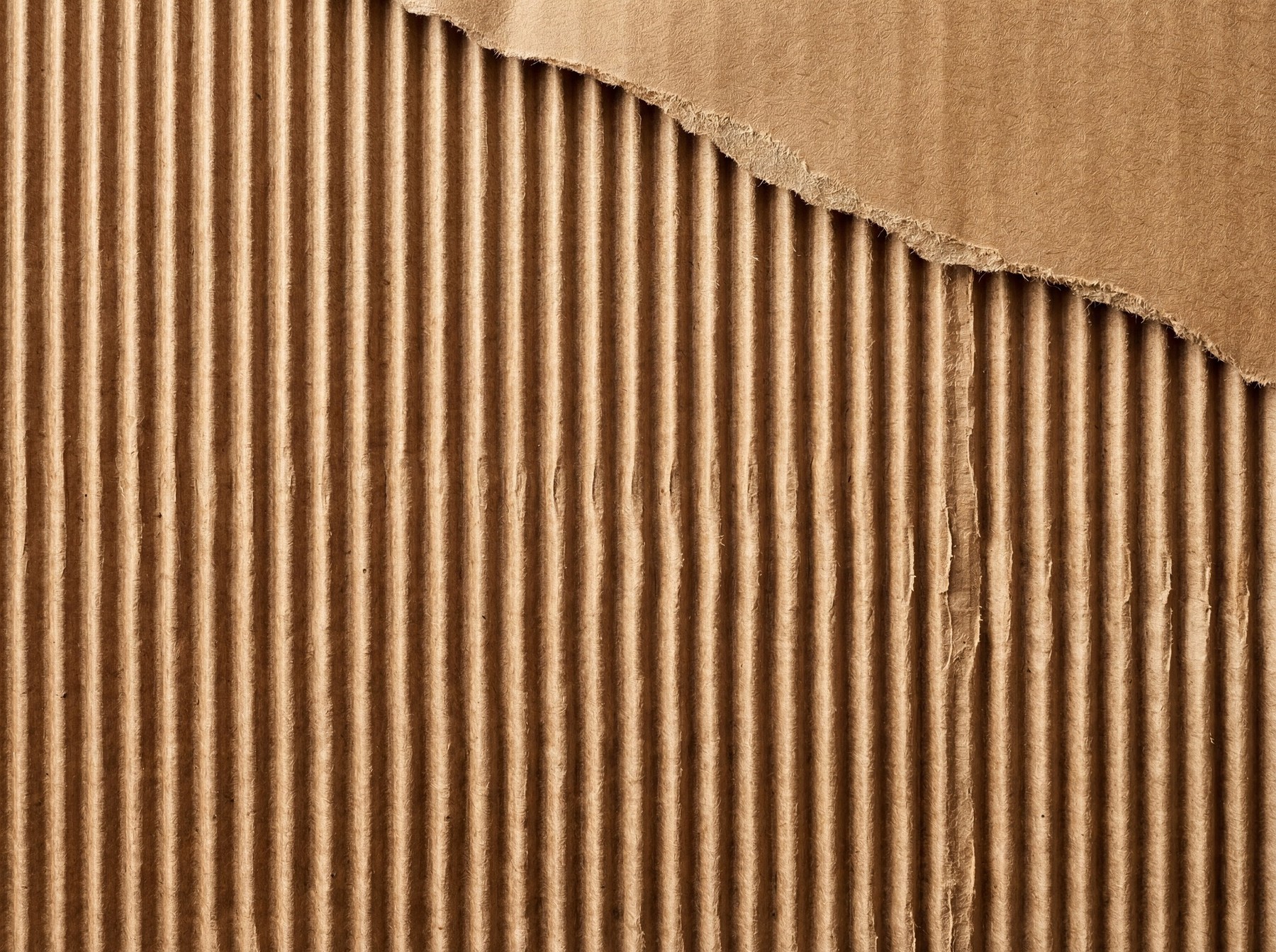 Close-up view of a rippled brown cardboard surface with a torn upper section.