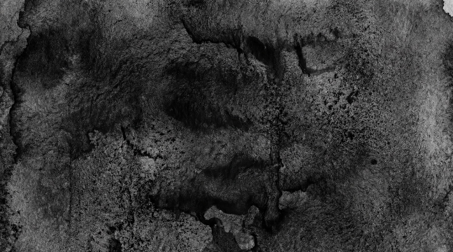 A dark grayscale ink wash texture with organic, irregular edges and granular details.