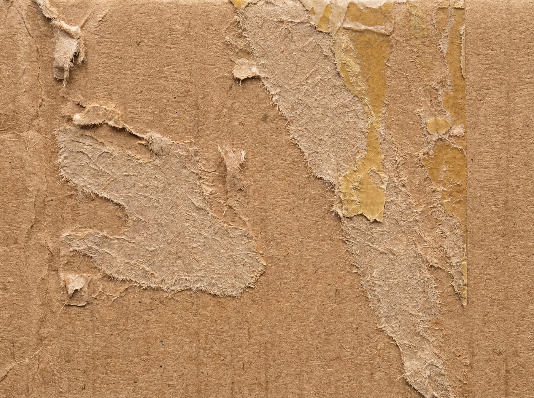 Close-up of torn brown cardboard texture with visible adhesive residue.