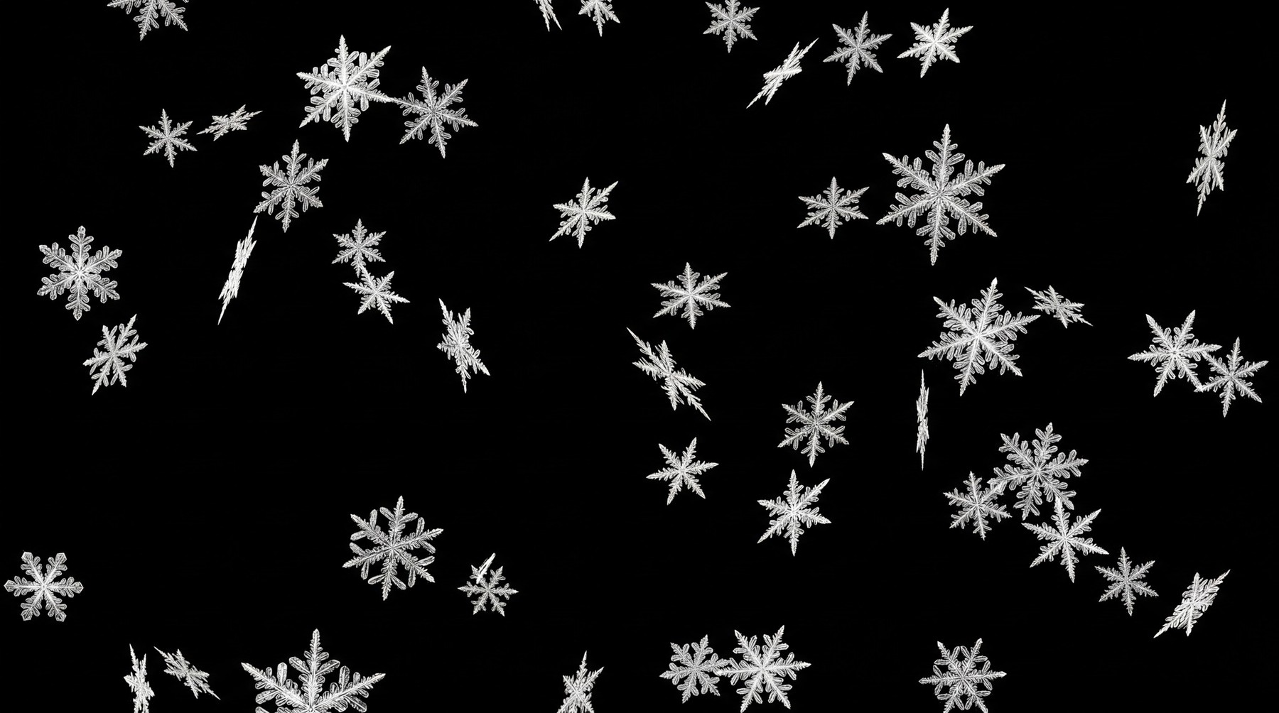 Moderate snowfall with detailed, medium-sized snowflakes against a black background.